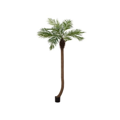 EUROPALMS Phoenix palm tree luxor curved, artificial plant, 240cm