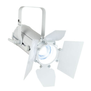 Display Fresnel 20 SW Fresnel LED 20 W Switchable White - Bianca