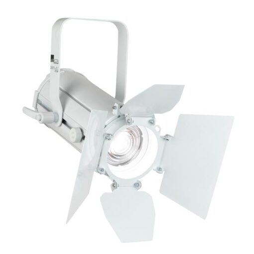 Display Fresnel 20 SW Fresnel LED 20 W Switchable White - Bianca