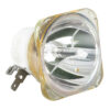 Ushio NSL300 Lampadina di ricambio per Phantom 12R