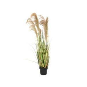 EUROPALMS Chinese silvergrass, artificial, 140cm