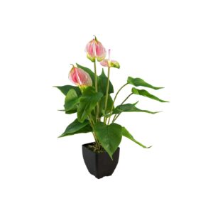EUROPALMS Anthurium, artificial plant, white and pink