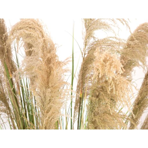 EUROPALMS Chinese silvergrass, artificial, 180cm