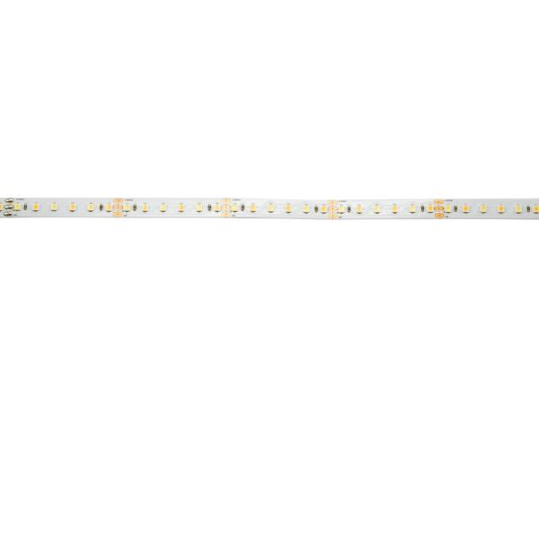 EUROLITE LED Strip 600 5m 3528 2700+6500K 12V