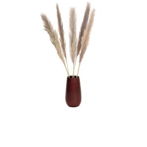 JOLIPA Pampas grass branch, dried, natural, 137cm