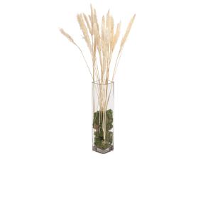 JOLIPA Pampas grass straw bunch, dried, natur, 75cm