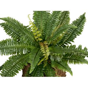 EUROPALMS Boston Fern, artificial plant,53cm