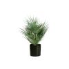 EUROPALMS Fan palm, artificial plant, 55cm