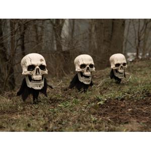 EUROPALMS Halloween Skeleton Head with Stake, Set of 3, 29cm