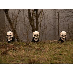 EUROPALMS Halloween Skeleton Head with Stake, Set of 3, 29cm