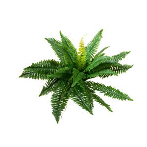 EUROPALMS Boston Fern, artificial plant,53cm