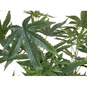 EUROPALMS Cannabis-plant,textile, 120cm