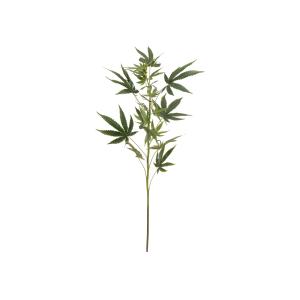 EUROPALMS Cannabis-spra, textile, 90cm