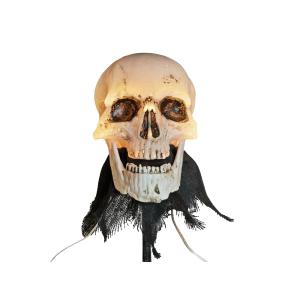 EUROPALMS Halloween Skeleton Head with Stake, Set of 3, 29cm