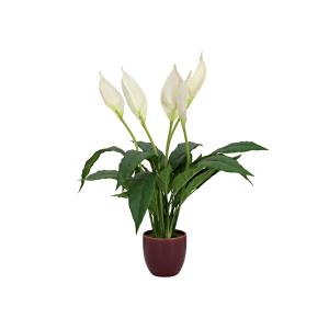 EUROPALMS Lily Peace, artificial plant, 49cm