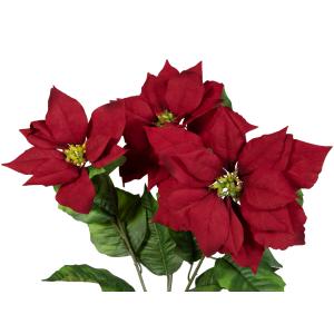 EUROPALMS Poinsettia bush, red, 50cm