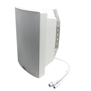 Lucky Tone DP-430 POE Diﬀusore attivo da parete da 30W con scheda Dante