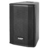 NSP HS10 Diﬀusore Passivo 2 vie da 350W/AES