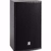 P. Audio XE-10 Diffusore passivo a 2 vie - 300W