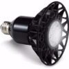 Weet WTH-22 Lampada a Led Par38