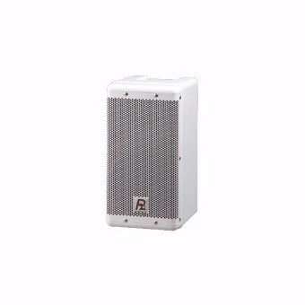 P. Audio VS-6F OUTDOOR Speaker 2 Vie 8ohm/100V