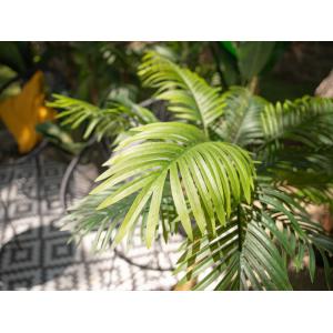 EUROPALMS Areca palm, 3 trunks, artificial plant, 150cm