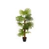 EUROPALMS Fan palm, artificial plant, 130cm