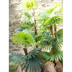 EUROPALMS Fan palm, artificial plant, 155cm