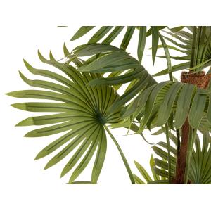 EUROPALMS Fan palm, artificial plant, 165cm