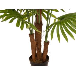 EUROPALMS Fan palm, artificial plant, 165cm