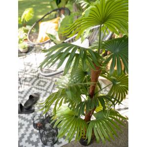 EUROPALMS Fan palm, artificial plant, 165cm