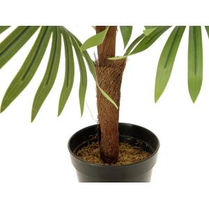 EUROPALMS Fan palm, artificial plant, 88cm