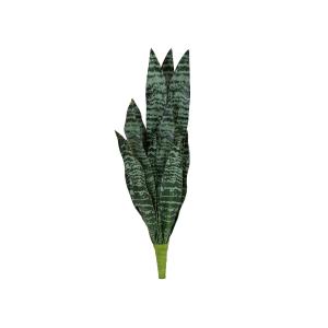 EUROPALMS Snake Tongue (EVA), artificial, green, 60cm