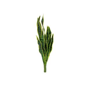 EUROPALMS Snake Tongue (EVA), artificial, green-yellow, 60cm