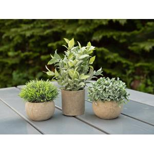 EUROPALMS Table plants in pots, artificial plant, Set of 3