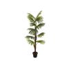 EUROPALMS Fan palm, artificial plant, 155cm