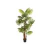 EUROPALMS Fan palm, artificial plant, 165cm