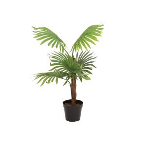 EUROPALMS Fan palm, artificial plant, 88cm