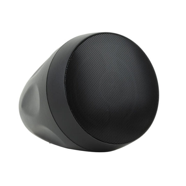 DPS-530 Pendant Speaker Altoparlante a sospensione passivo da 5,25” - nero