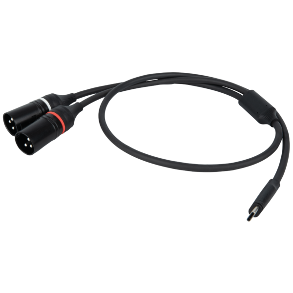 FL112 - USB-C to 2 XLR/M 3P 0,75 m