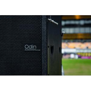 Odin S-18 Subwoofer line array passivo