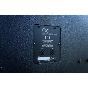 Odin S-18 Subwoofer line array passivo