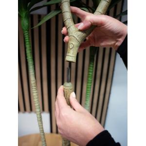 EUROPALMS Dracaena, artificial plant, green, 170cm
