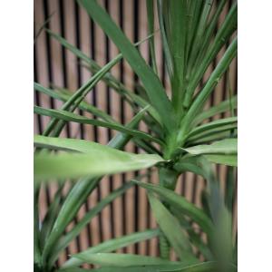EUROPALMS Dracaena, artificial plant, green, 170cm