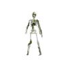 EUROPALMS Halloween Skelteton with Moss, 40cm