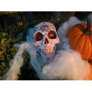 EUROPALMS Halloween Skull, mystical, 12x10x18cm