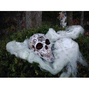 EUROPALMS Halloween Skull, mystical, 12x10x18cm
