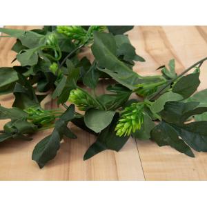 EUROPALMS Hop Garland, artificial, 170cm
