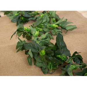 EUROPALMS Hop Garland, artificial, 170cm