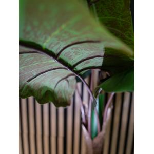 EUROPALMS Taro Alocasia, artificial plant, 140cm